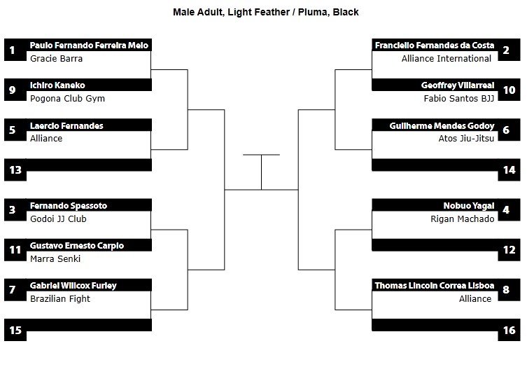 pan ams 2013 light feather bracket