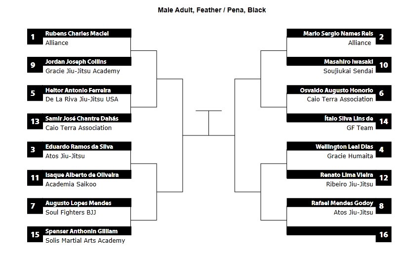 pan ams 2013 feather bracket